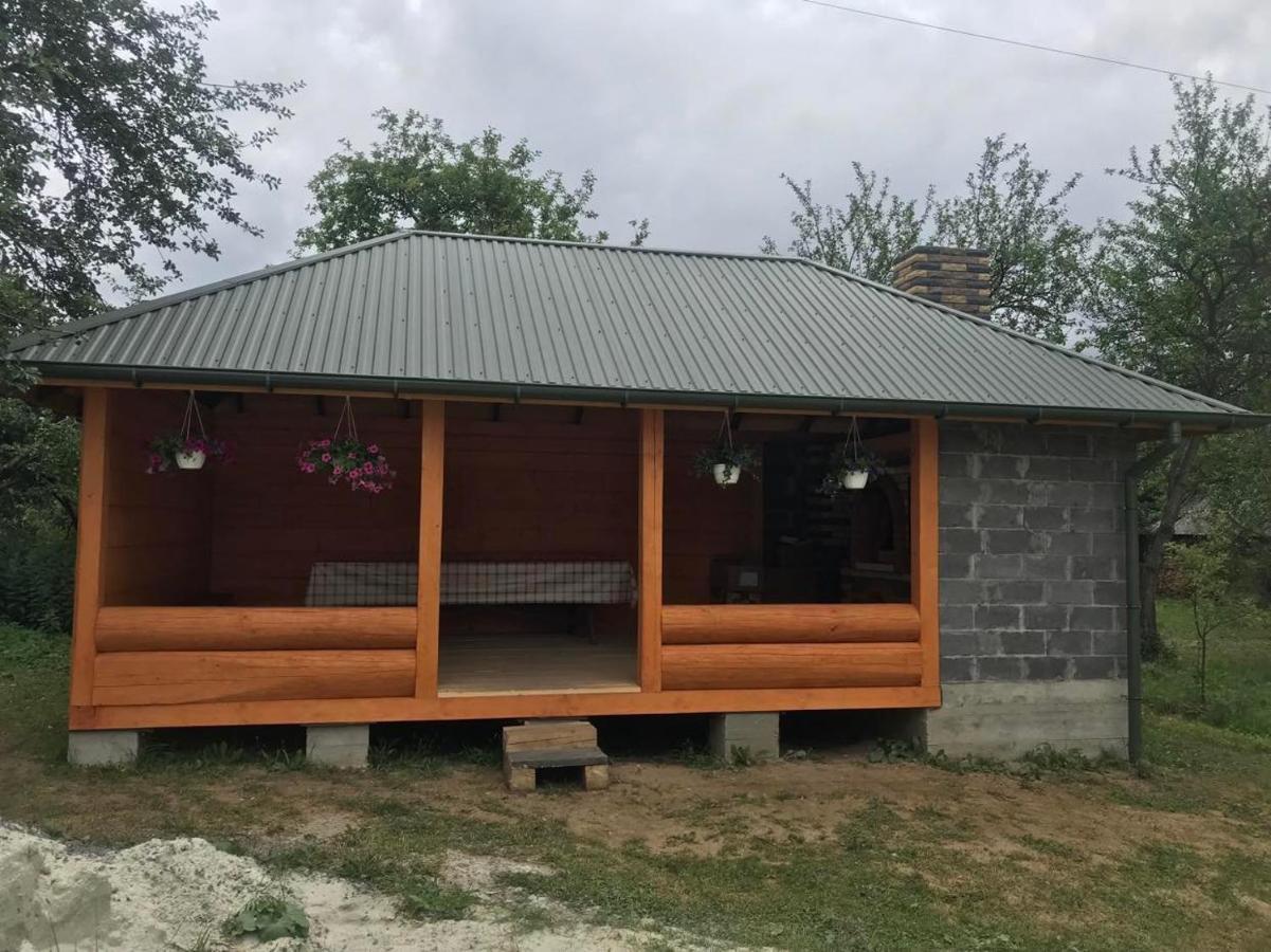 Золота Рибка Βίλα Slavske Εξωτερικό φωτογραφία